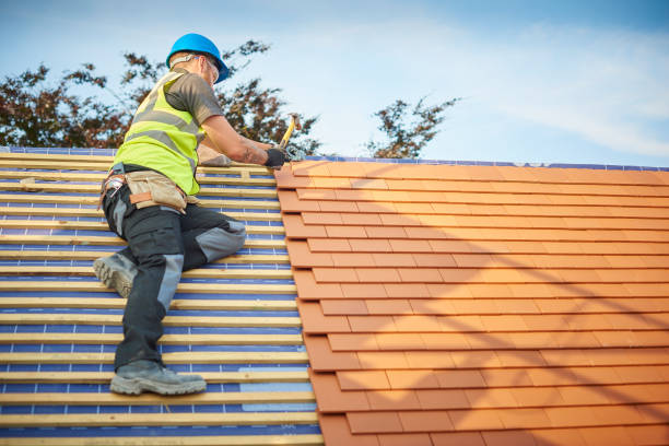 Best Solar Panel Roofing Installation  in Adel, IA